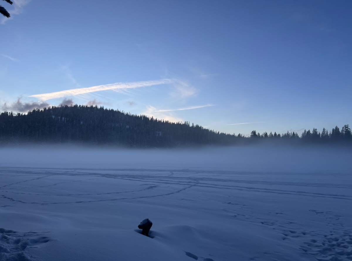 Seeking Serene